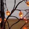 3ft. Pre-Lit Artificial Halloween Black Twig Tree with 18 Orange LED Pumpkin Shaped Lights